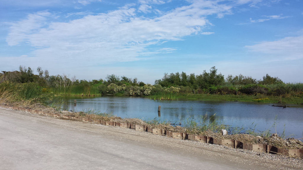 Road retaining wall construction with sheet pile installation, overlooking the lake
