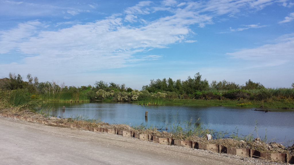 Tidewater Road surrounded by swamp and lake in Venice, LA